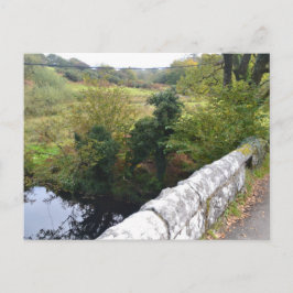 nature way of impersonating animalHoliday Postcard シーズンポストカード