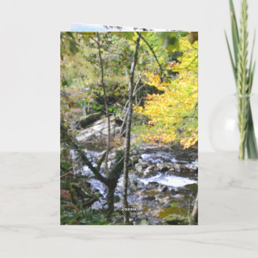 nature way of impersonating animals カード (裏面)