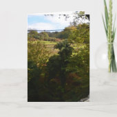 nature way of impersonating animals カード (正面)