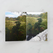 nature way of impersonating animals カード (内部)