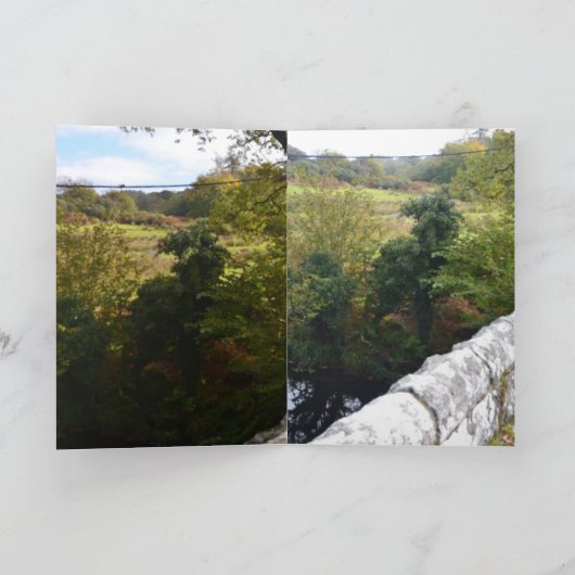 nature way of impersonating animals カード (内部)