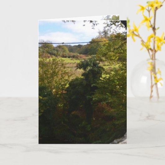 nature way of impersonating animals カード (黄色い花)