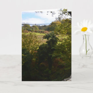 nature way of impersonating animals カード