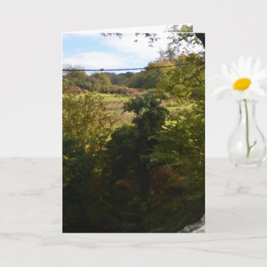 nature way of impersonating animals カード (小さな植物)