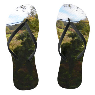 nature way of impersonating animals ビーチサンダル