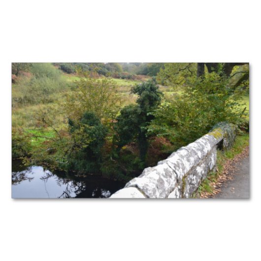 nature way of impersonating animals マグネット名刺 (正面)