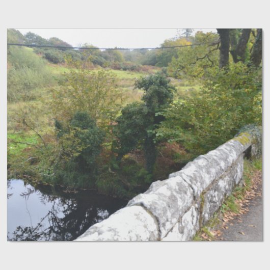 nature way of impersonating animals ラッピングペーパー (フラット)