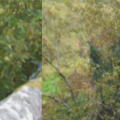 nature way of impersonating animals 壁紙 (縫い目)