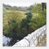 nature way of impersonating animals 壁紙 (正面)