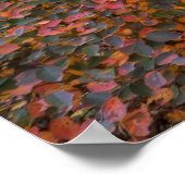 Natures魔法 ポスター (角)