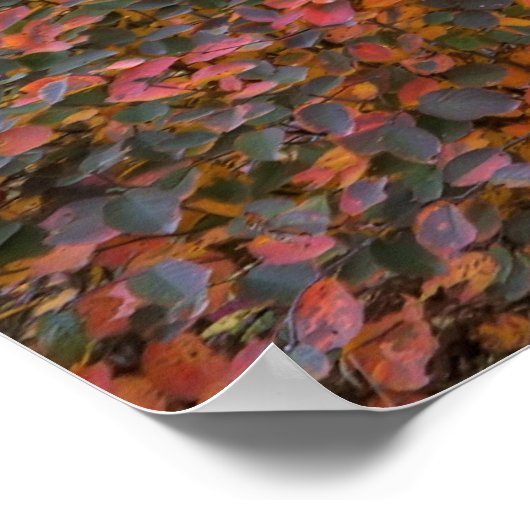 Natures魔法 ポスター (角)