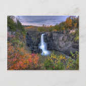 Natures魔法 ポストカード (正面)