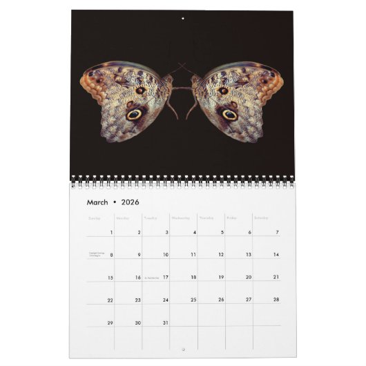 Nature's Beauty Mirrored Photography  カレンダー (3月 2026)