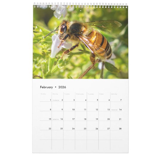 Nature's beauty: Small Sights カレンダー (2月 2026)