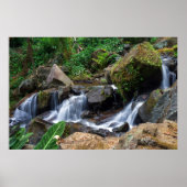 Nature's Bliss ポスター (正面)