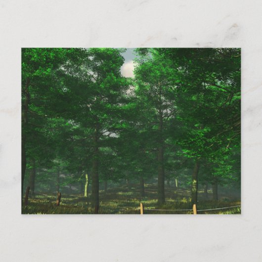 Nature's Clarityはがき ポストカード (正面)