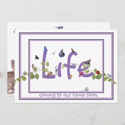 Nature's Delight-Baby shower：招待 招待状 (正面/裏面)