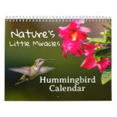 Nature's Little Miracles Hummingbirds カレンダー (カバー)