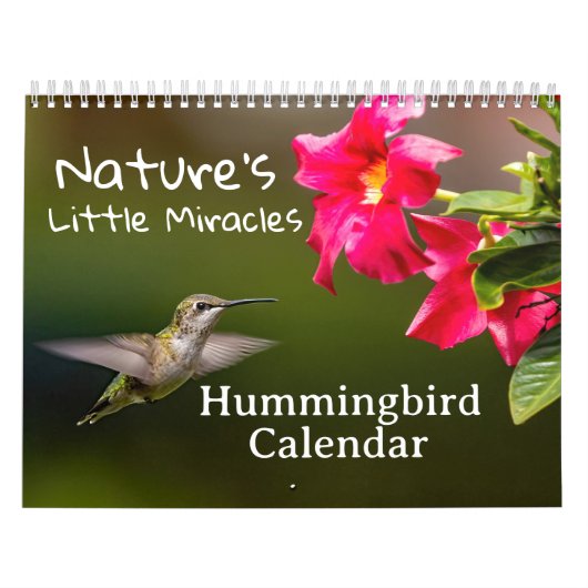 Nature's Little Miracles Hummingbirds カレンダー (カバー)