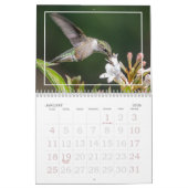 Nature's Little Miracles Hummingbirds カレンダー (1月 2026)