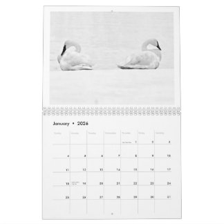 Nature's Perspectives - 2026 Wall Calendar カレンダー