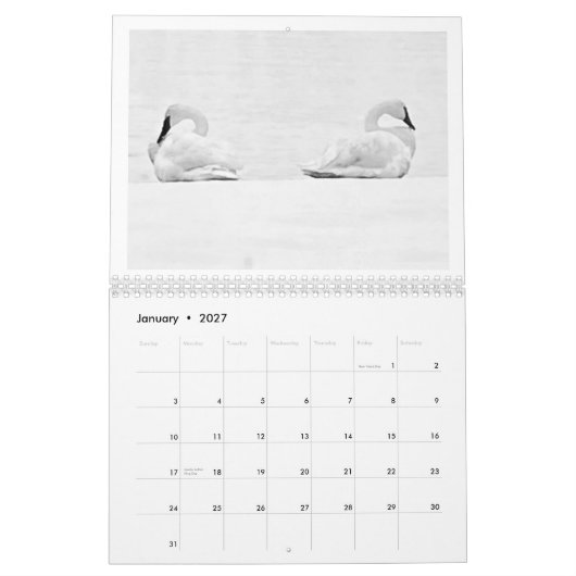 Nature's Perspectives - 2026 Wall Calendar カレンダー (1月 2027)