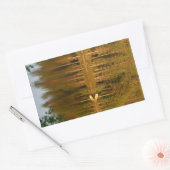 Nature's Reflectionsカスタムステッカー 長方形シール (封筒)