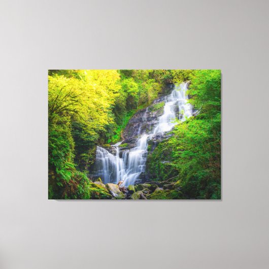 Nature's Symphony: The Cascades of Killarney キャンバスプリント (正面)