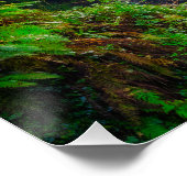 Nature's Symphony: The Cascades of Killarney ポスター (コーナー)