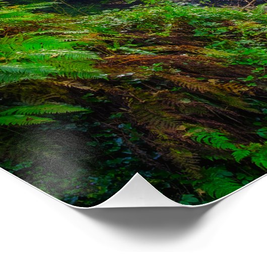 Nature's Symphony: The Cascades of Killarney ポスター (コーナー)