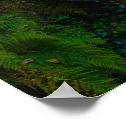 Nature's Symphony: The Cascades of Killarney ポスター (角)