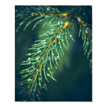 Nature's Tapestry:美しいのキャプチャ葉