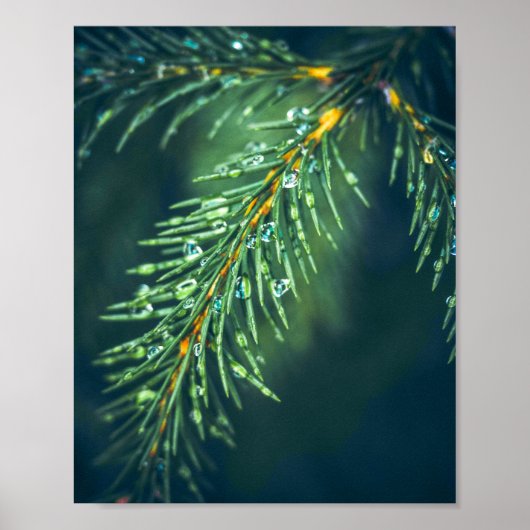 Nature's Tapestry:美しいのキャプチャ葉 ポスター (正面)