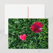 Natures valentine: heart shaped red leaf シーズンポストカード (正面/裏面)