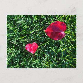 Natures valentine: heart shaped red leaf シーズンポストカード