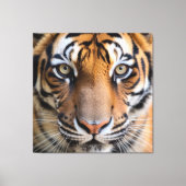 Nature's Wild Animals - Tiger Canvas キャンバスプリント (正面)