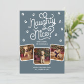 Naughty or Nice Funny Cute Pet Dog Cat 3 Photo  シーズンカード (スタンド正面)