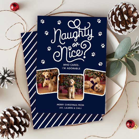Naughty or Nice Funny Cute Pet Dog Cat 3 Photo  シーズンカード