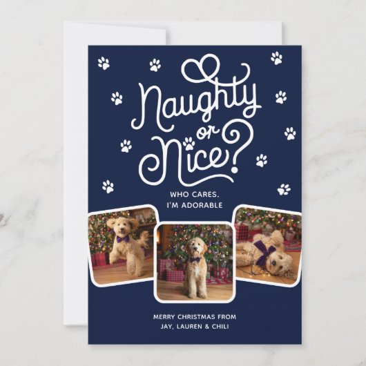 Naughty or Nice Funny Cute Pet Dog Cat 3 Photo  シーズンカード (正面)