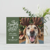 Naughty or Nice Funny Cute Pet Dog Cat Photo シーズンカード (スタンド正面)
