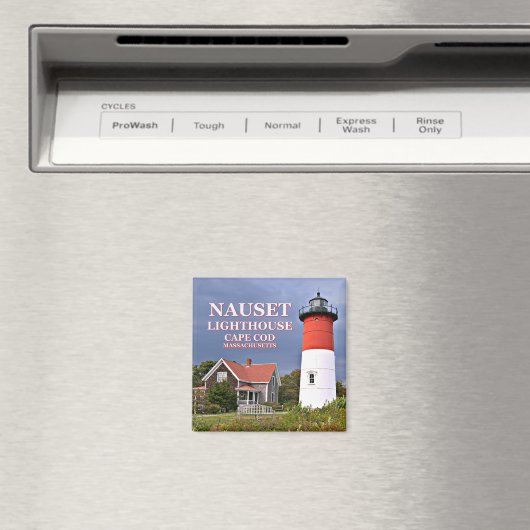 Nauset Light, Cape Cod, Massachusetts Magnet マグネット (インサイチュ (食洗機))