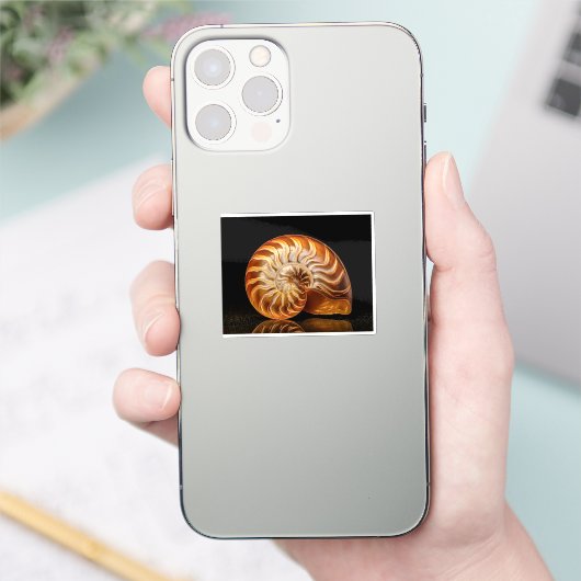 Nautile, coquille dorée シール (スマートフォン)