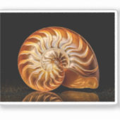 Nautile, coquille dorée シール (正面)