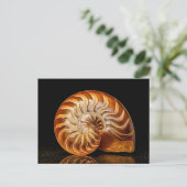 Nautile, coquille dorée ポストカード (スタンド正面)