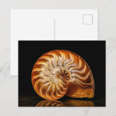 Nautile, coquille dorée ポストカード (正面/裏面)