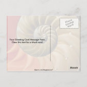 Nautilusシェル写真 ポストカード (裏面)