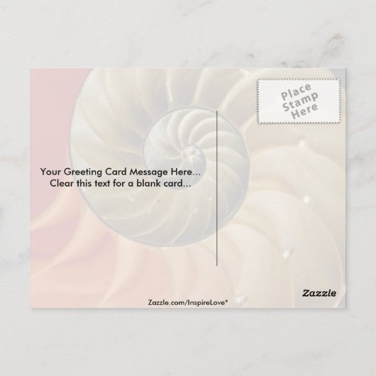 Nautilusシェル写真 ポストカード (裏面)