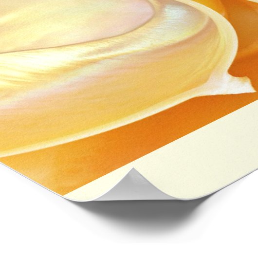 Nautilus Seashellポスター ポスター (角)