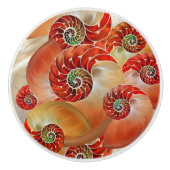 Nautilus Shells セラミックノブ (正面)