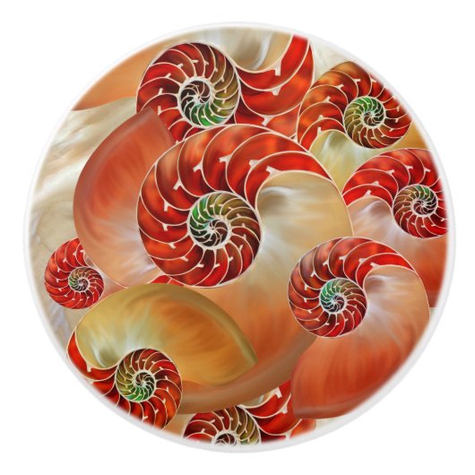 Nautilus Shells セラミックノブ (正面)